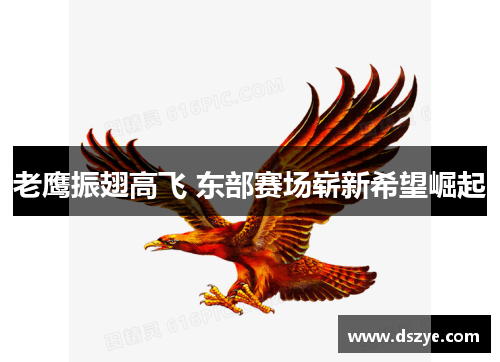 老鹰振翅高飞 东部赛场崭新希望崛起